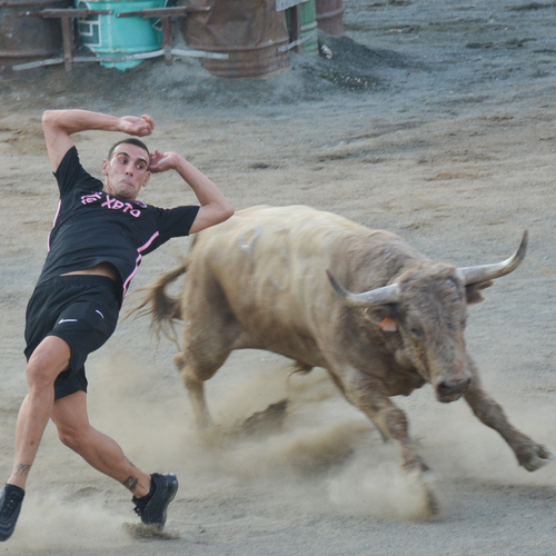 Toros-22213PX (2 de 10)